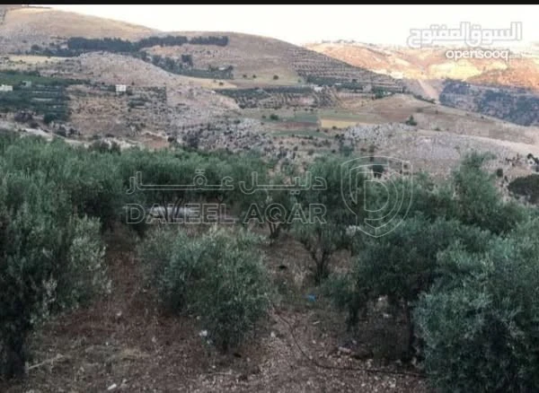أرض في أرض 3,427م² للبيع في السلط – حوض جورة الصالح  - 78,000 دأ - صورة 1
